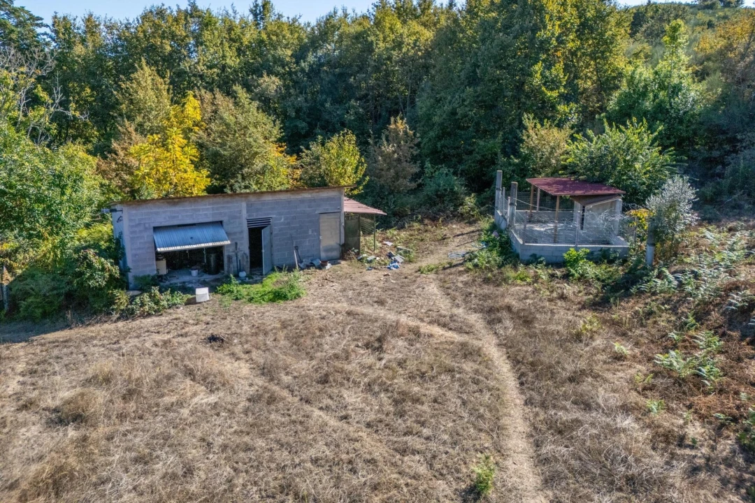 Moradia T4 para Venda em São Pedro do Sul, Várzea e Baiões Foto 48
