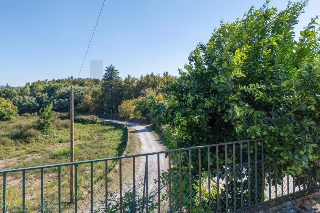 Moradia T4 para Venda em São Pedro do Sul, Várzea e Baiões Foto 45