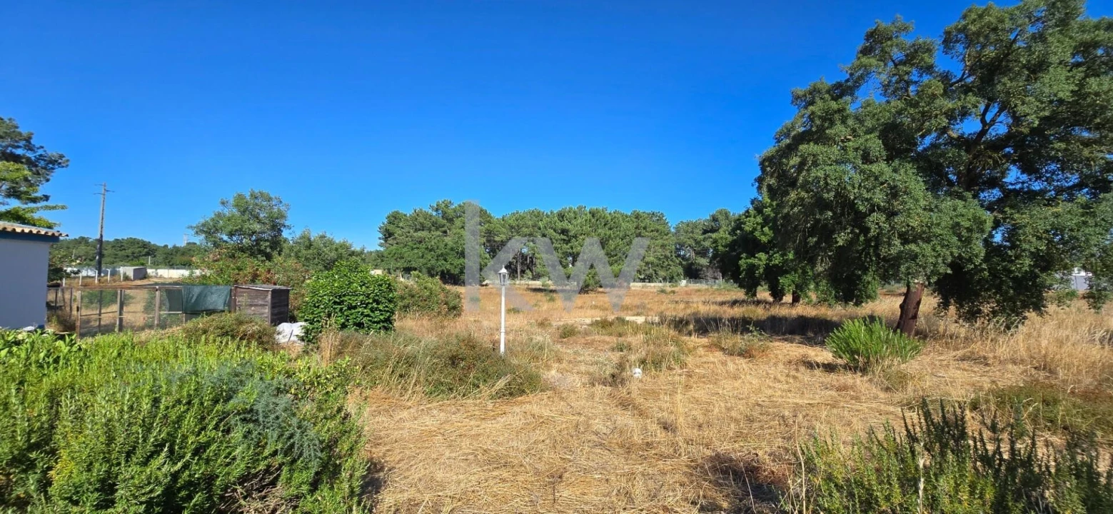 Quinta T4 para Venda em Azeitão (São Lourenço e São Simão) Foto 55