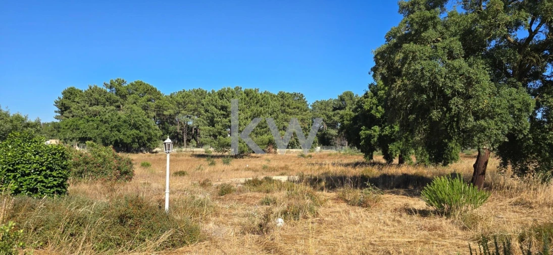 Quinta T4 para Venda em Azeitão (São Lourenço e São Simão) Foto 57
