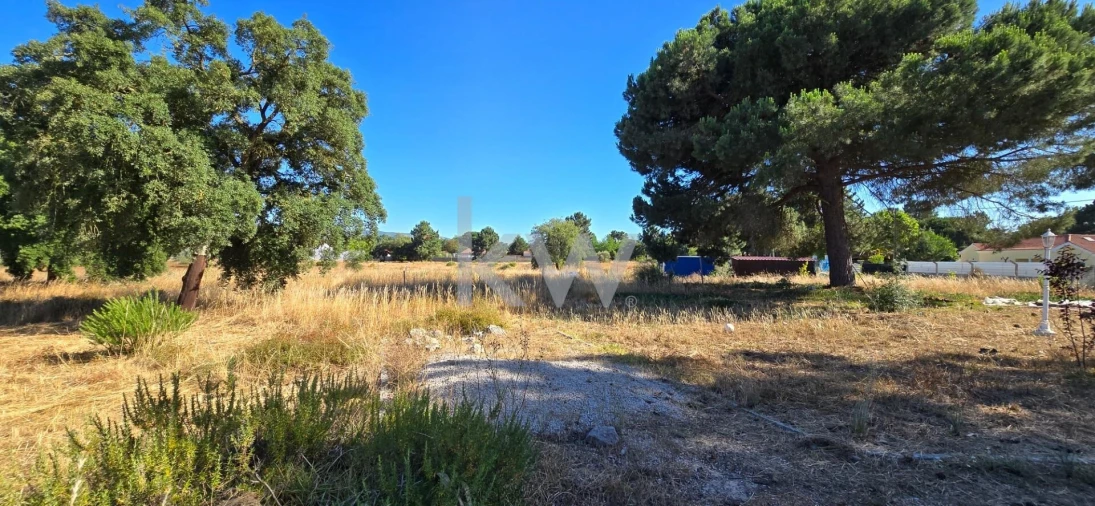 Quinta T4 para Venda em Azeitão (São Lourenço e São Simão) Foto 56