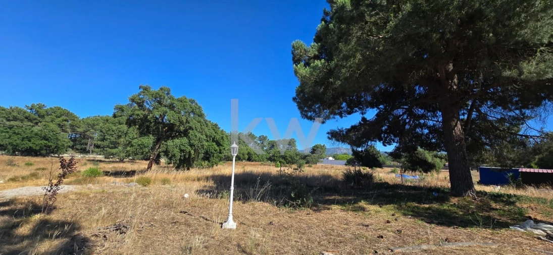 Quinta T4 para Venda em Azeitão (São Lourenço e São Simão) Foto 58