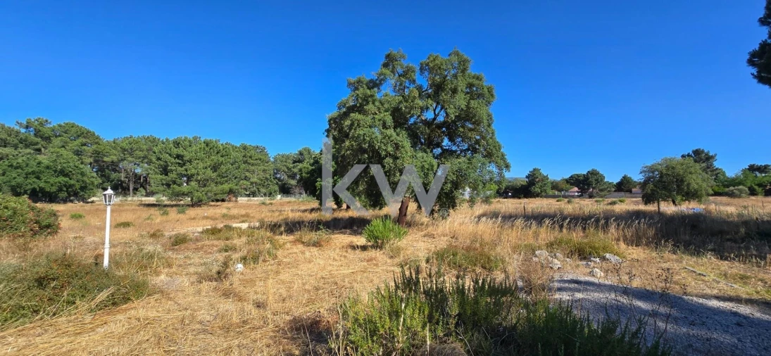 Quinta T4 para Venda em Azeitão (São Lourenço e São Simão) Foto 54