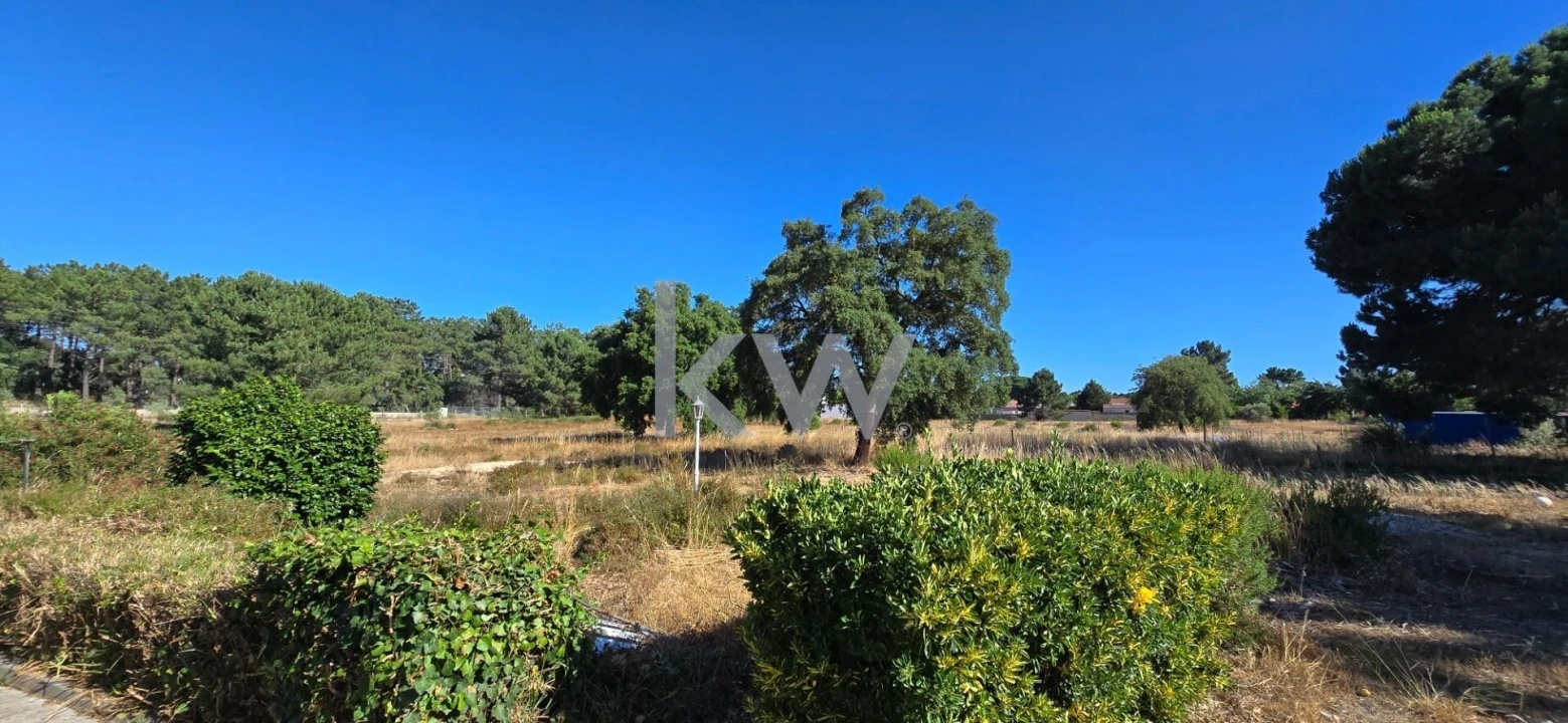Quinta T4 para Venda em Azeitão (São Lourenço e São Simão) Foto 53