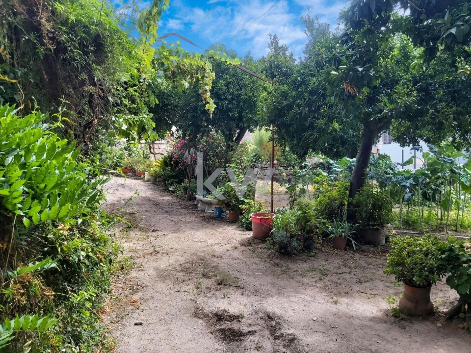 Moradia T4 para Venda em Tourais e Lajes Foto 8