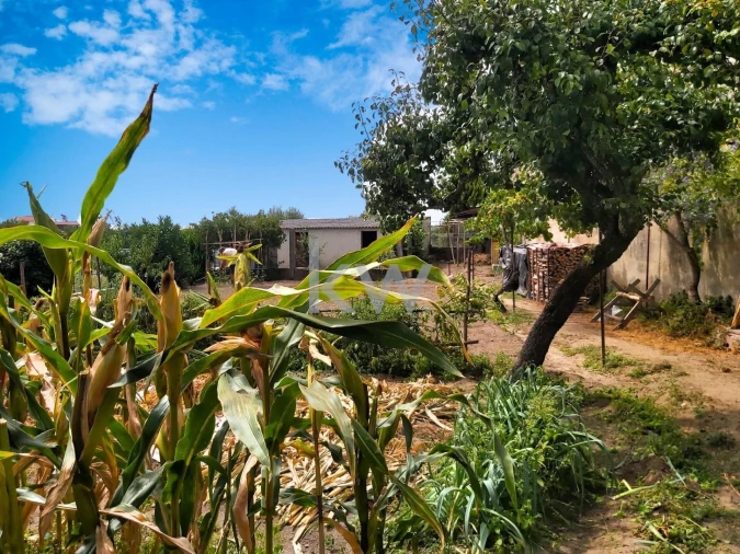 Moradia T4 para Venda em Tourais e Lajes Foto 7