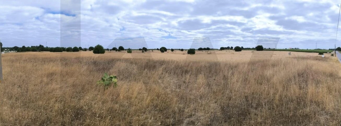 Terreno para Venda em Poceirão e Marateca Foto 7