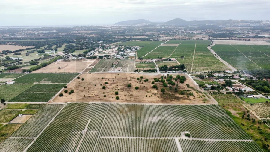 Terreno para Venda em Poceirão e Marateca Foto 6