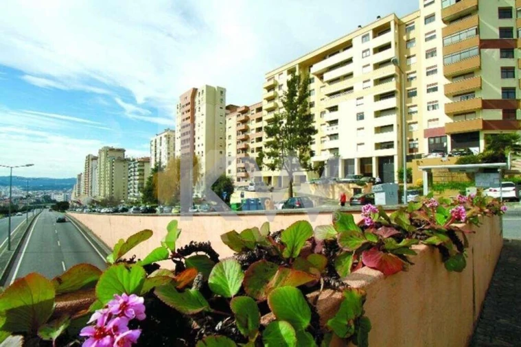 Loja para Arrendamento em Santo Antonio dos Olivais Foto 13