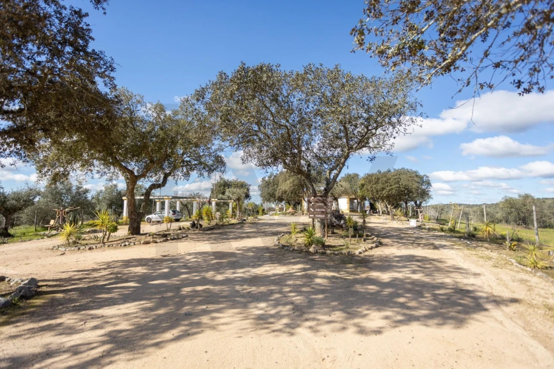 Quinta T10 para Venda em Vila Alva Foto 60