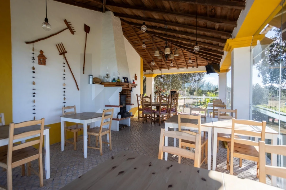 Quinta T10 para Venda em Vila Alva Foto 8