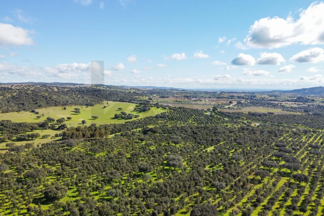 Quinta T10 para Venda em Vila Alva Foto 87