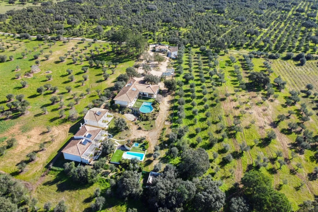 Quinta T10 para Venda em Vila Alva Foto 62