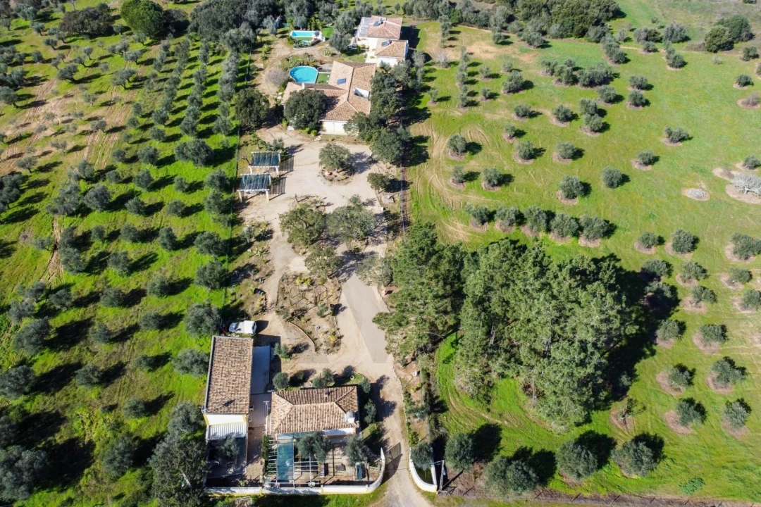 Quinta T10 para Venda em Vila Alva Foto 61