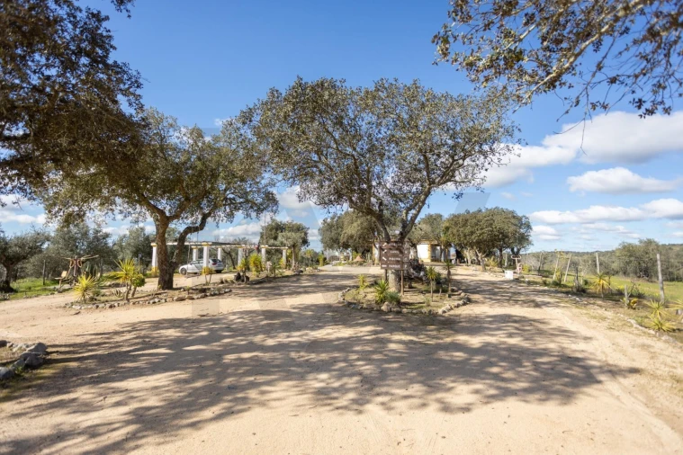 Quinta T10 para Venda em Vila Alva Foto 60