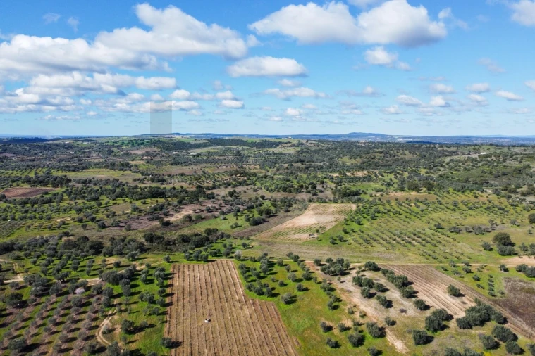 Quinta T10 para Venda em Vila Alva Foto 86