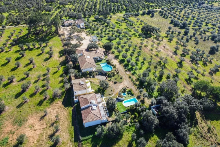 Quinta T10 para Venda em Vila Alva Foto 1