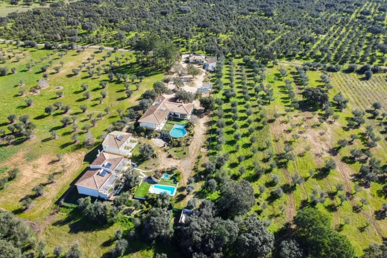 Quinta T10 para Venda em Vila Alva Foto 62