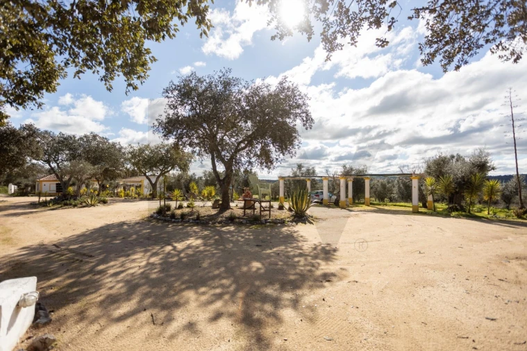 Quinta T10 para Venda em Vila Alva Foto 59