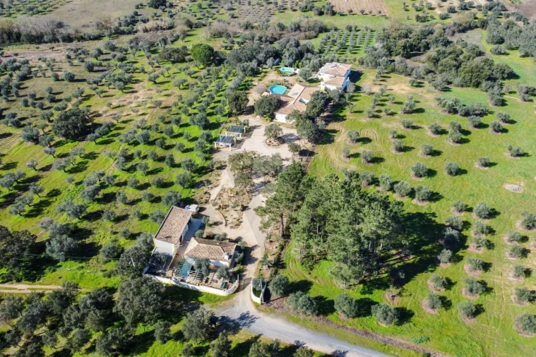 Quinta T10 para Venda em Vila Alva Foto 65