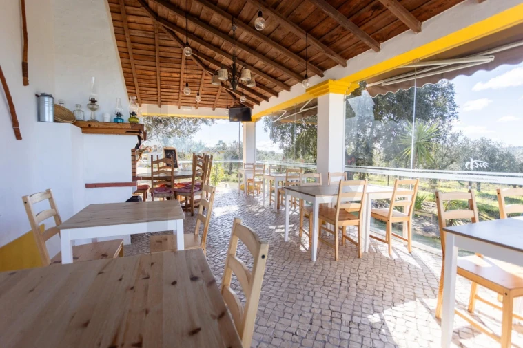 Quinta T10 para Venda em Vila Alva Foto 10