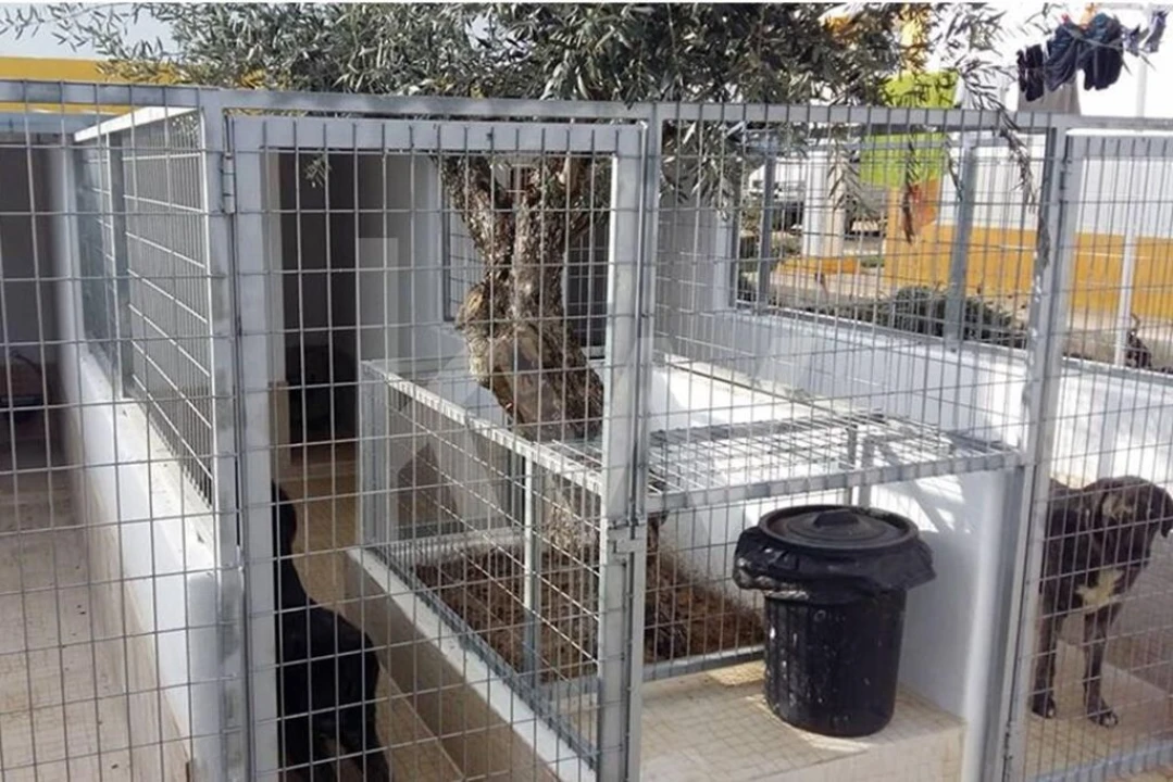 Quinta T10 para Venda em Vila Alva Foto 77