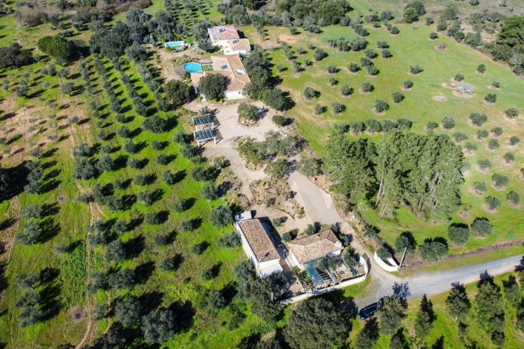 Quinta T10 para Venda em Vila Alva Foto 64