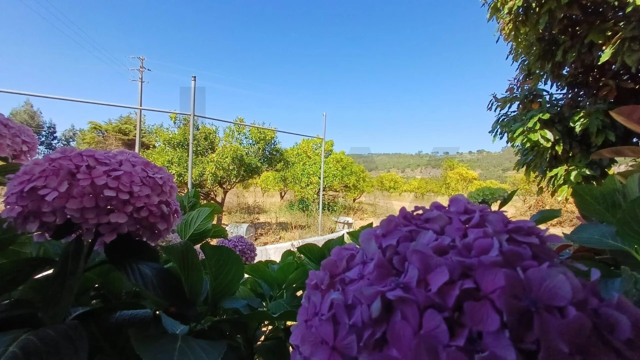 Moradia T3 para Venda em Roliça Foto 23