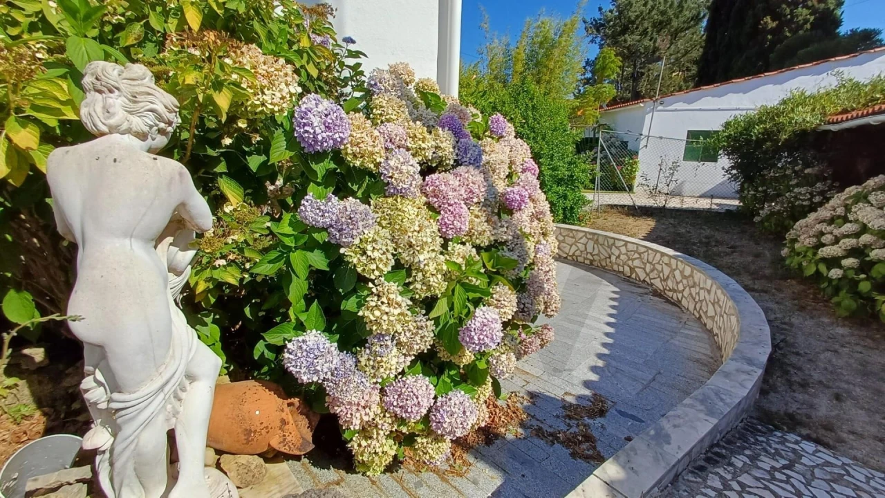 Moradia T3 para Venda em Roliça Foto 6