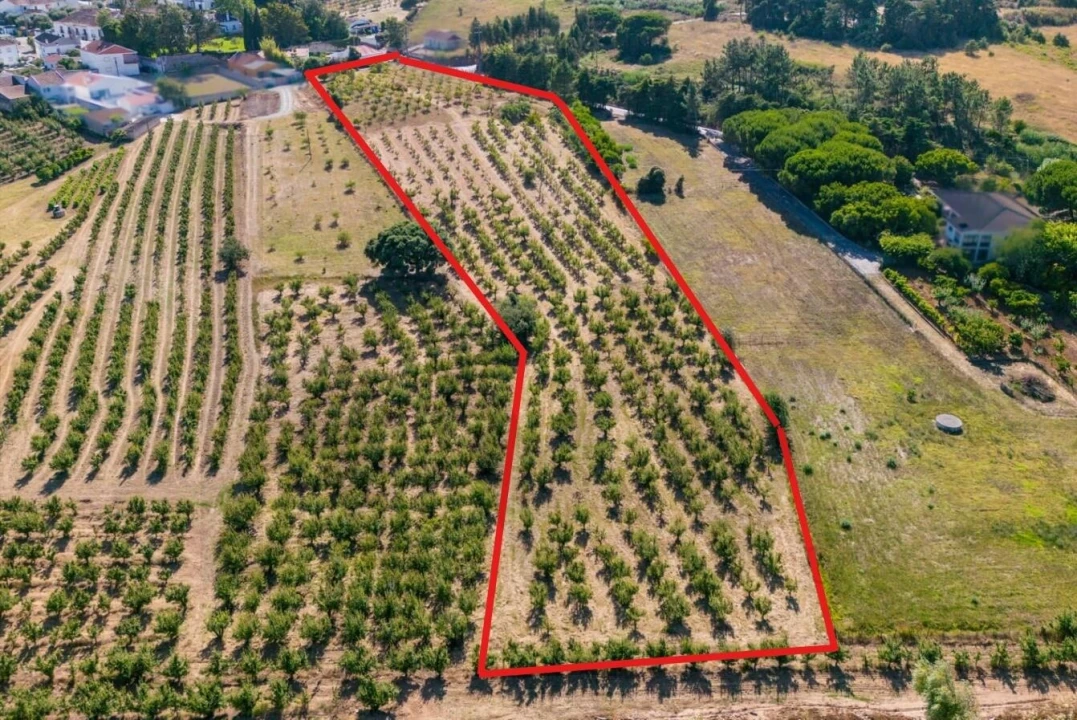 Moradia T3 para Venda em Roliça Foto 33