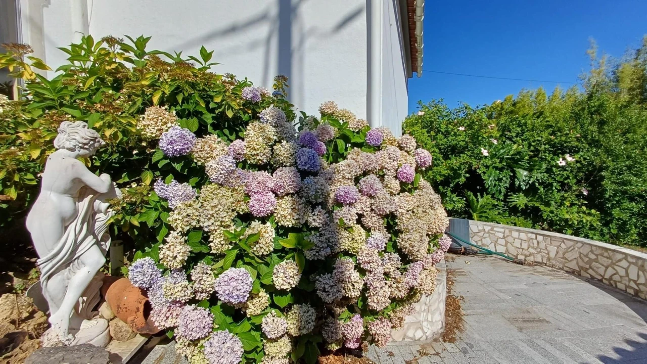 Moradia T3 para Venda em Roliça Foto 21