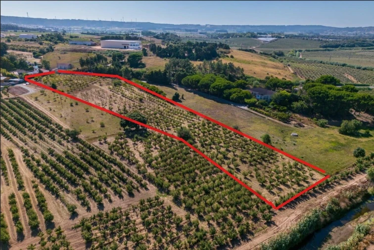 Moradia T3 para Venda em Roliça Foto 32