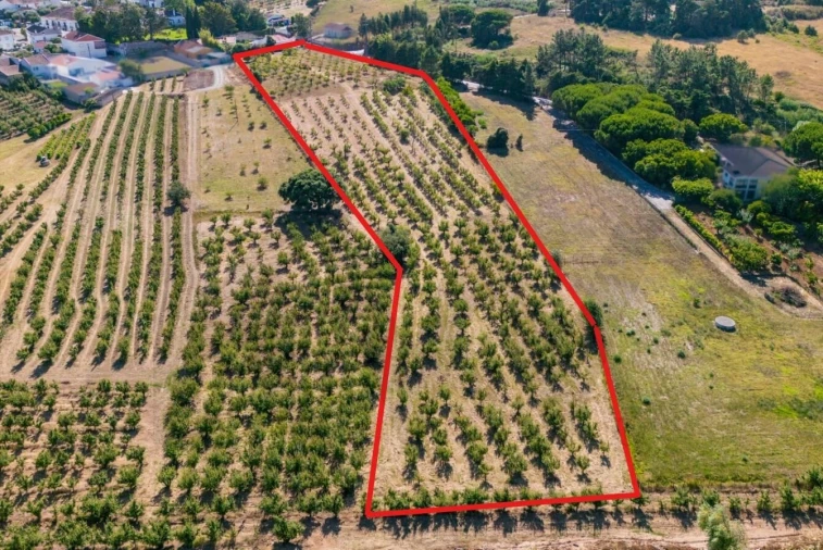 Moradia T3 para Venda em Roliça Foto 33