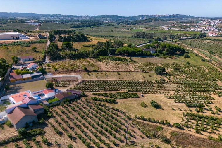 Moradia T3 para Venda em Roliça Foto 31