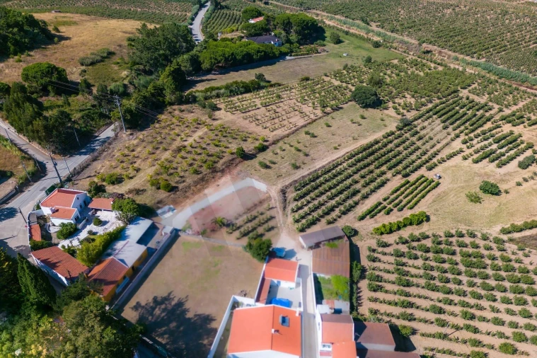 Moradia T3 para Venda em Roliça Foto 30