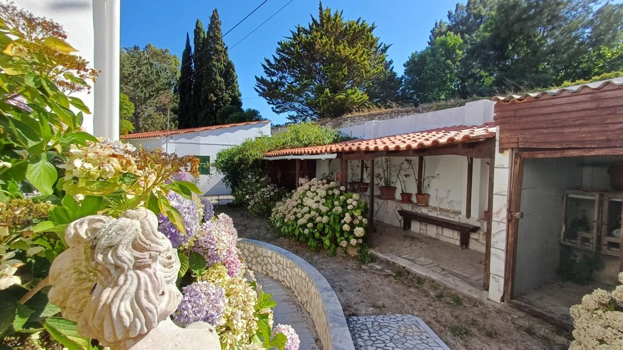 Moradia T3 para Venda em Roliça Foto 22