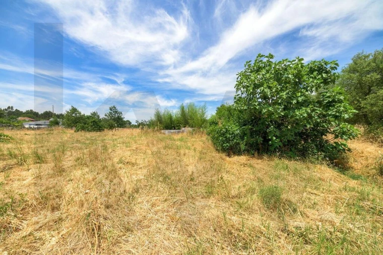 Terreno para Venda em Canha Foto 40