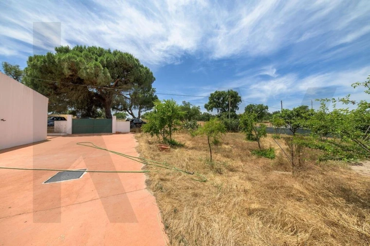 Terreno para Venda em Canha Foto 38