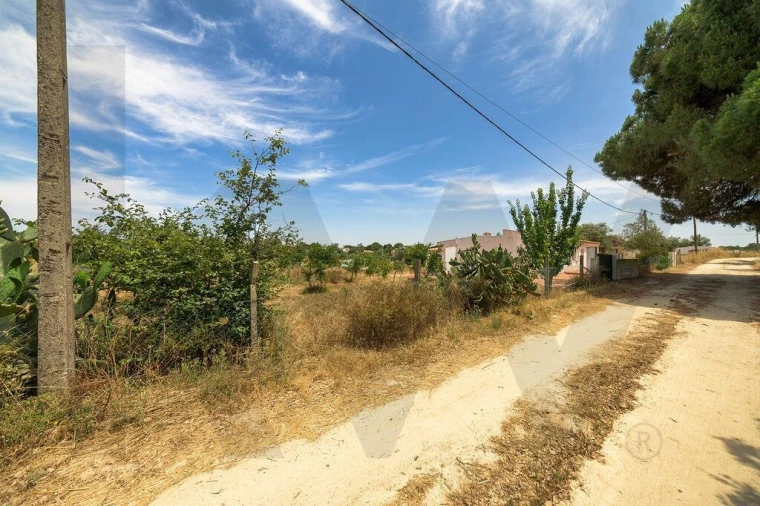 Terreno para Venda em Canha Foto 4