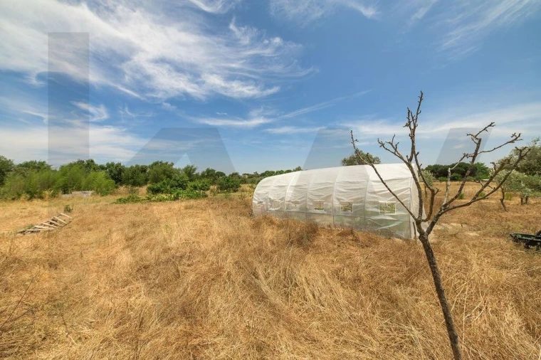 Terreno para Venda em Canha Foto 34