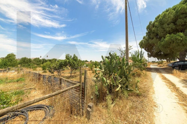 Terreno para Venda em Canha Foto 33