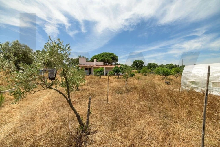Terreno para Venda em Canha Foto 32