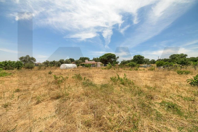 Terreno para Venda em Canha Foto 35