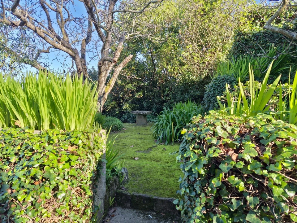 Quinta T6 para Venda em Carvoeira e Carmões Foto 26