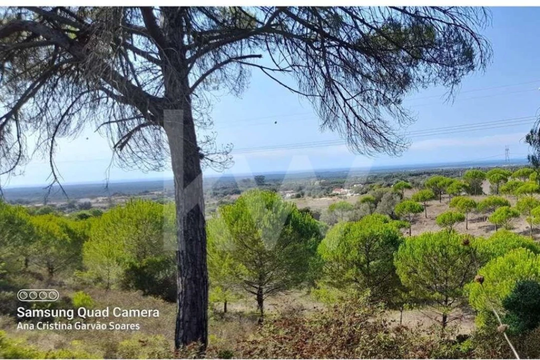 Quinta T2 para Venda em Santiago do Cacém, Santa Cruz e São Bartolomeu da Serra Foto 8