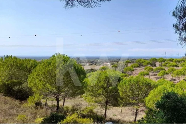 Quinta T2 para Venda em Santiago do Cacém, Santa Cruz e São Bartolomeu da Serra Foto 7