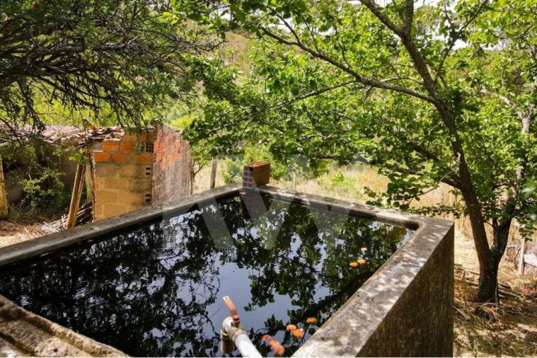 Quinta T2 para Venda em Santiago do Cacém, Santa Cruz e São Bartolomeu da Serra