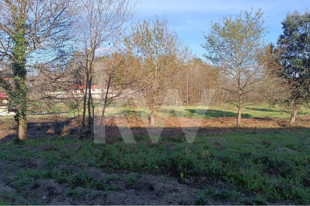 Terreno para Venda em Loureira Foto 11