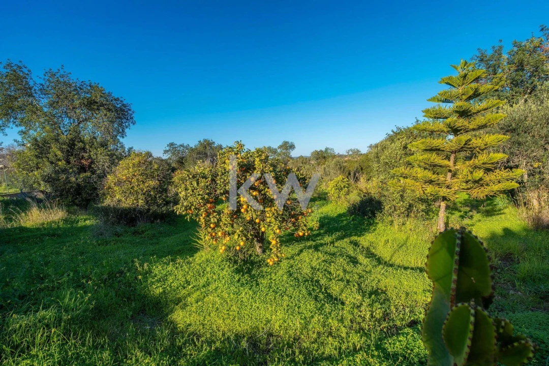 Moradia T4 para Venda em Alcantarilha e Pêra Foto 91