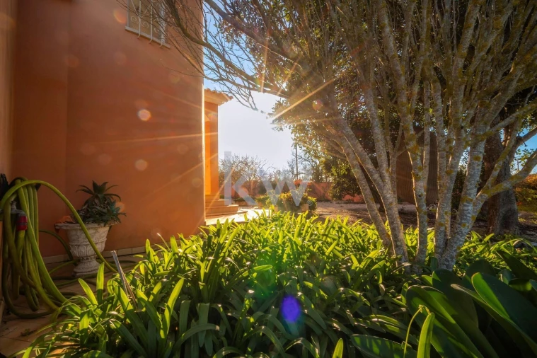 Moradia T4 para Venda em Alcantarilha e Pêra Foto 92